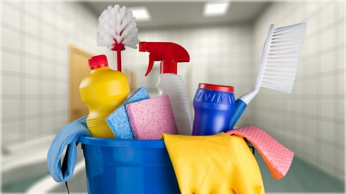 Professional carpet cleaning in a Queenspark home