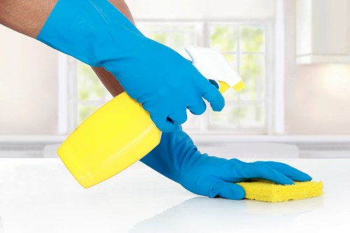 Vacuuming and dusting a Queenspark property for tenancy handover