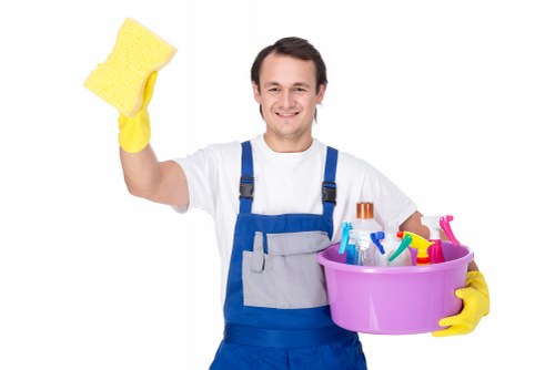 Stain removal and carpet care in a Queenspark home
