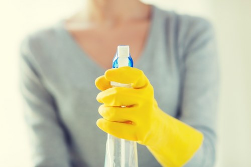 Carpet stain removal and odor treatment in a Queenspark home