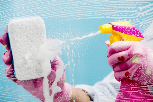 Internal review of a carpet cleaning complaint and service notes