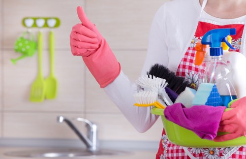 Kitchen surfaces and appliances freshly cleaned