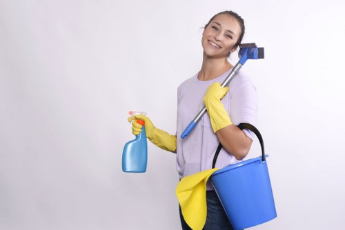 Bathroom sanitation as part of domestic cleaning in Queenspark