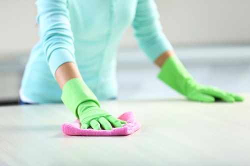 Professional cleaning supplies in a Queenspark household
