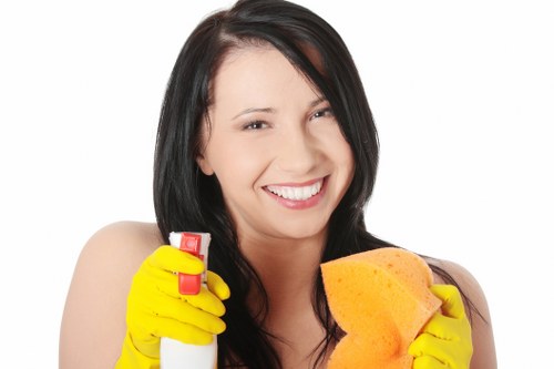 Low-moisture carpet cleaning equipment in Queenspark