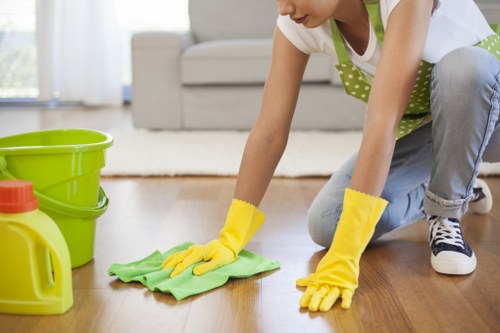 Risk assessment being completed before a carpet cleaning service